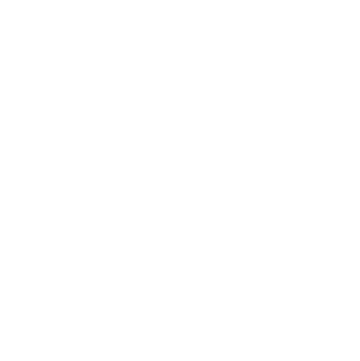 CEUPD Logo